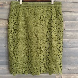 Ann Taylor Knee Length Pencil Skirt